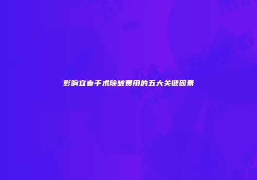 影响宜春手术除皱费用的五大关键因素