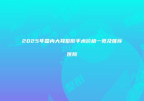 2025年国内大耳整形手术价格一览及推荐医院