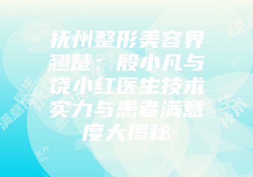 抚州整形美容界翘楚：殷小凡与饶小红医生技术实力与患者满意度大揭秘
