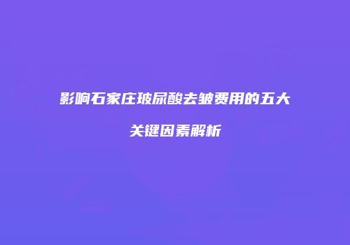 影响石家庄玻尿酸去皱费用的五大关键因素解析