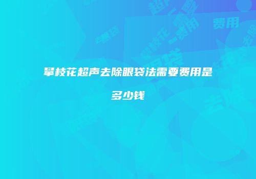 攀枝花超声去除眼袋法需要费用是多少钱