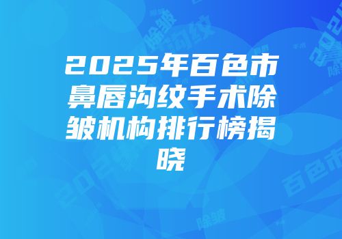 2025年百色市鼻唇沟纹手术除皱机构排行榜揭晓