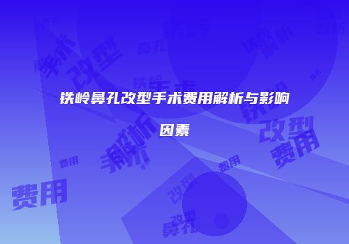 铁岭鼻孔改型手术费用解析与影响因素