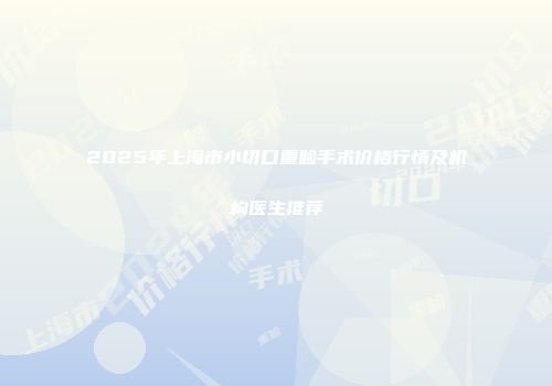 2025年上海市小切口重睑手术价格行情及机构医生推荐