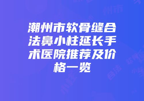 潮州市软骨缝合法鼻小柱延长手术医院推荐及价格一览