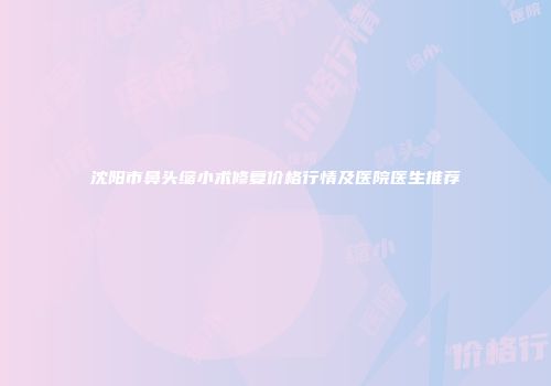 沈阳市鼻头缩小术修复价格行情及医院医生推荐