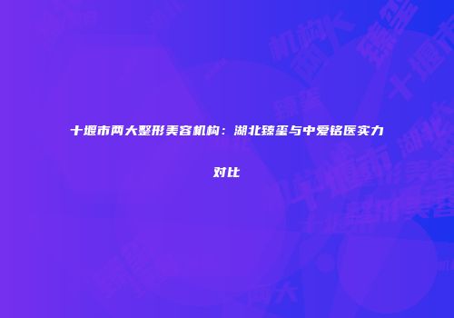 十堰市两大整形美容机构：湖北臻玺与中爱铭医实力对比
