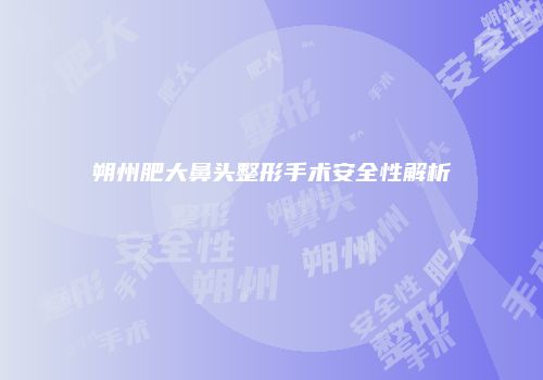 朔州肥大鼻头整形手术安全性解析