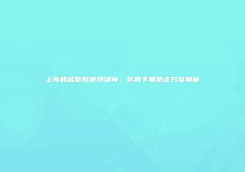 上海知名整形医院推荐：乳房下垂矫正方案解析