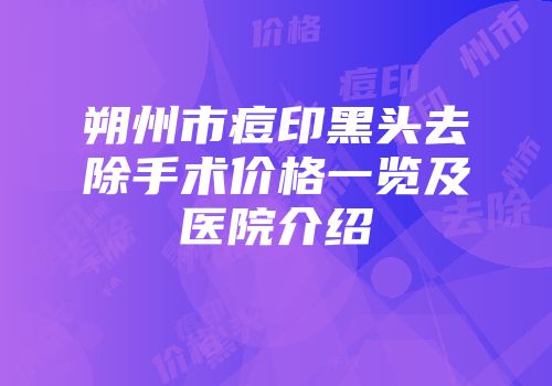 朔州市痘印黑头去除手术价格一览及医院介绍