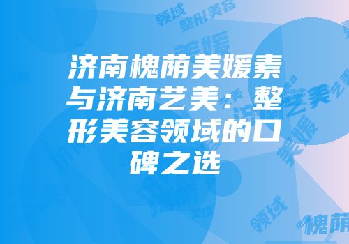 济南槐荫美媛素与济南艺美：整形美容领域的口碑之选