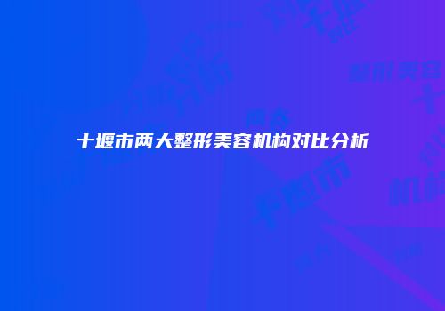 十堰市两大整形美容机构对比分析