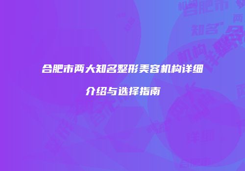 合肥市两大知名整形美容机构详细介绍与选择指南