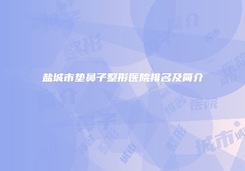 盐城市垫鼻子整形医院排名及简介