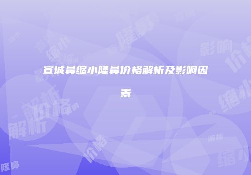 宣城鼻缩小隆鼻价格解析及影响因素