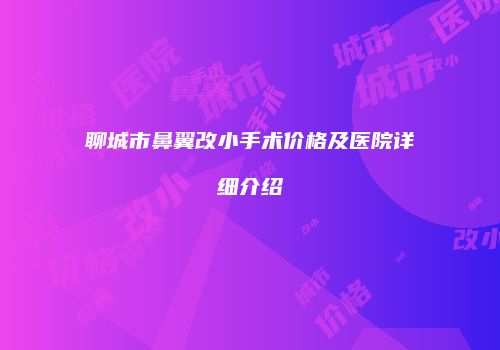 聊城市鼻翼改小手术价格及医院详细介绍