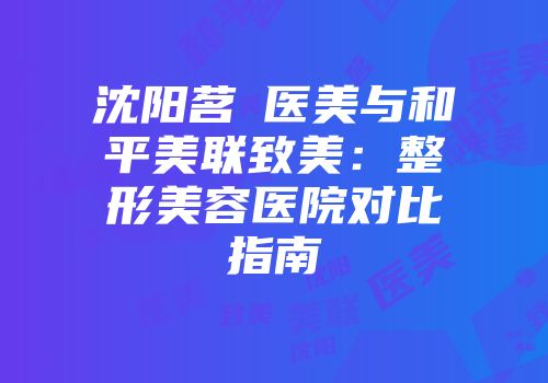 沈阳茗湲医美与和平美联致美：整形美容医院对比指南