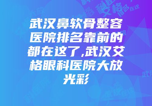 武汉鼻软骨整容医院排名靠前的都在这了,武汉艾格眼科医院大放光彩