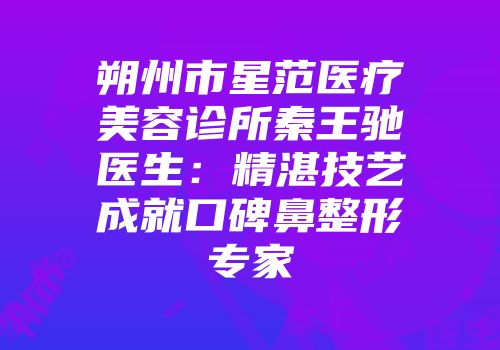 朔州市星范医疗美容诊所秦王驰医生：精湛技艺成就口碑鼻整形专家