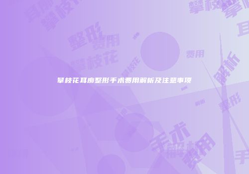 攀枝花耳廓整形手术费用解析及注意事项