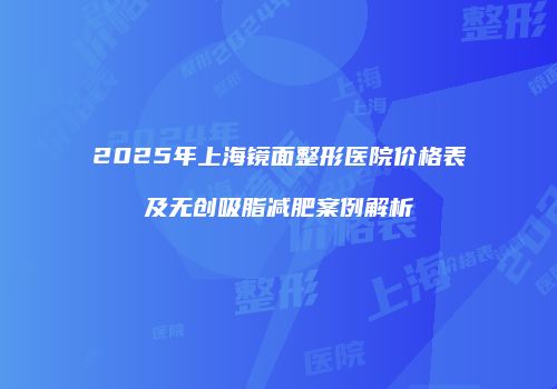 2025年上海镜面整形医院价格表及无创吸脂减肥案例解析