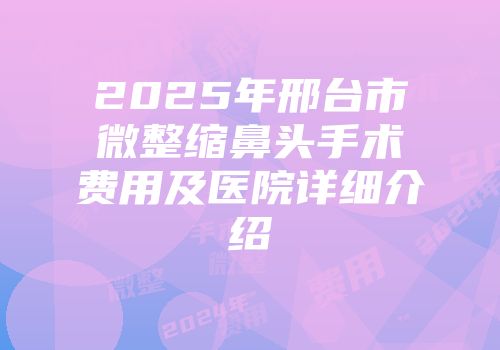 2025年邢台市微整缩鼻头手术费用及医院详细介绍