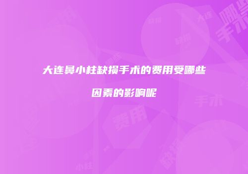 大连鼻小柱缺损手术的费用受哪些因素的影响呢