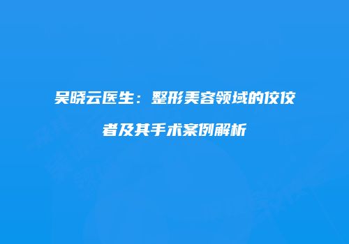 吴晓云医生：整形美容领域的佼佼者及其手术案例解析