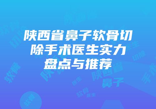 陕西省鼻子软骨切除手术医生实力盘点与推荐