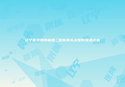 辽宁医学院附属第二医院鼻头尖整形技术详解