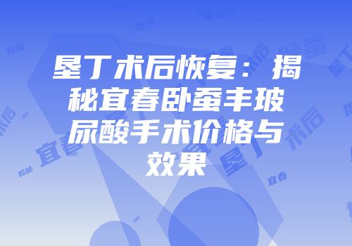 垦丁术后恢复：揭秘宜春卧蚕丰玻尿酸手术价格与效果
