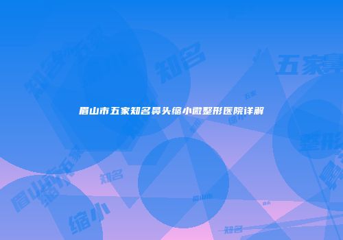 眉山市五家知名鼻头缩小微整形医院详解