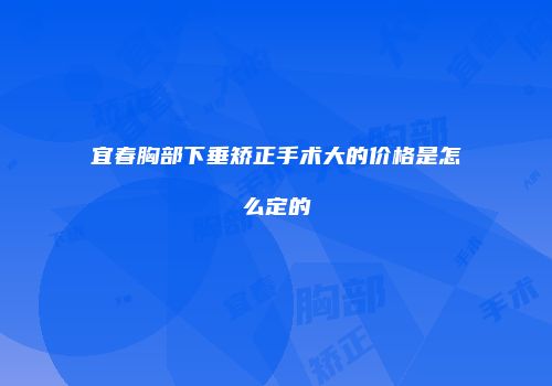 宜春胸部下垂矫正手术大的价格是怎么定的