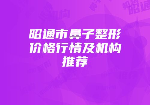 昭通市鼻子整形价格行情及机构推荐