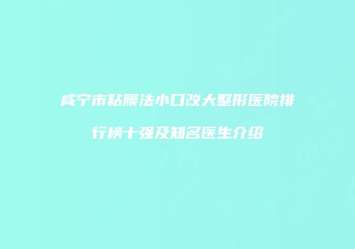 咸宁市粘膜法小口改大整形医院排行榜十强及知名医生介绍
