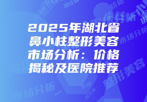 2025年湖北省鼻小柱整形美容市场分析：价格揭秘及医院推荐