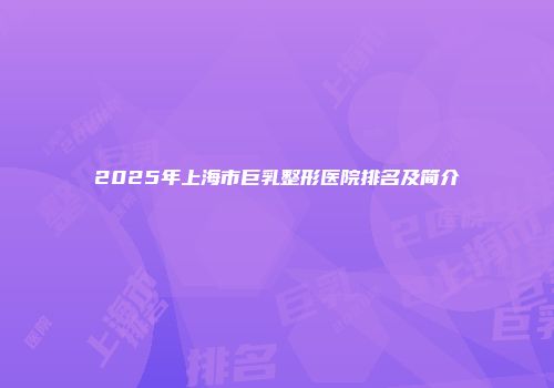 2025年上海市巨乳整形医院排名及简介
