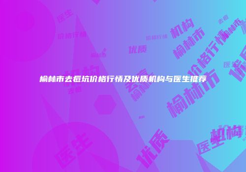 榆林市去痘坑价格行情及优质机构与医生推荐