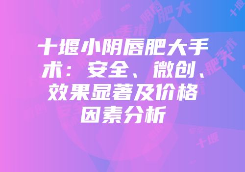 十堰小阴唇肥大手术：安全、微创、效果显著及价格因素分析