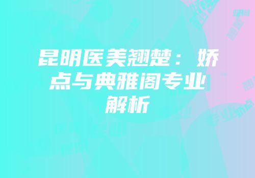 昆明医美翘楚：娇点与典雅阁专业解析