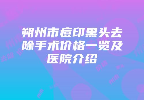 朔州市痘印黑头去除手术价格一览及医院介绍