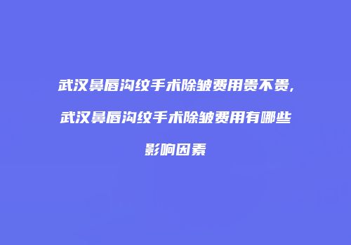 武汉鼻唇沟纹手术除皱费用贵不贵,武汉鼻唇沟纹手术除皱费用有哪些影响因素