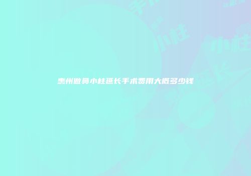 惠州做鼻小柱延长手术费用大概多少钱