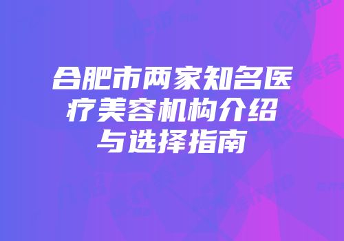 合肥市两家知名医疗美容机构介绍与选择指南