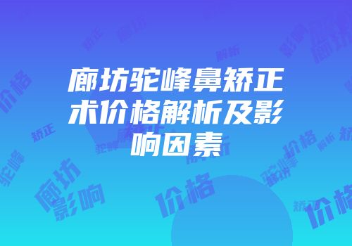 廊坊驼峰鼻矫正术价格解析及影响因素