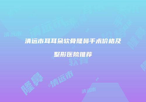 清远市耳耳朵软骨隆鼻手术价格及整形医院推荐