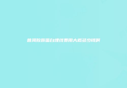 普洱胶原蛋白埋线费用大概多少钱啊