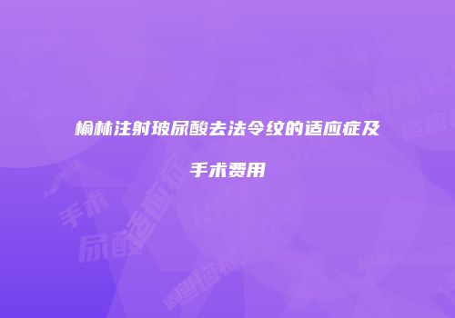 榆林注射玻尿酸去法令纹的适应症及手术费用