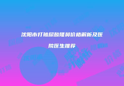 沈阳市打玻尿酸隆鼻价格解析及医院医生推荐