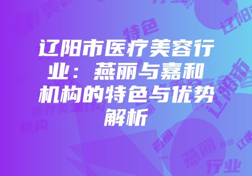 辽阳市医疗美容行业：燕丽与嘉和机构的特色与优势解析